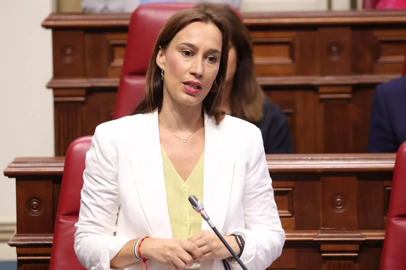 La presidenta del Grupo Parlamentario Socialista, Nira Fierro. PSOE