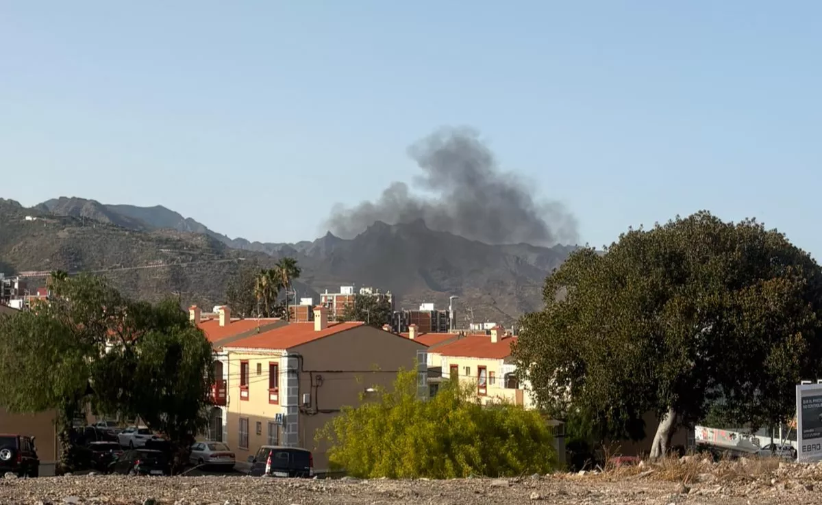Columna de humo generada por un incendio en un solar de Santa Cruz de Tenerife, en la calle Goya./ AH