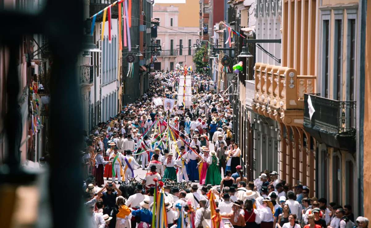 Imagen de la Romería de San Benito / AYUNTAMIENTO DE LA LAGUNA