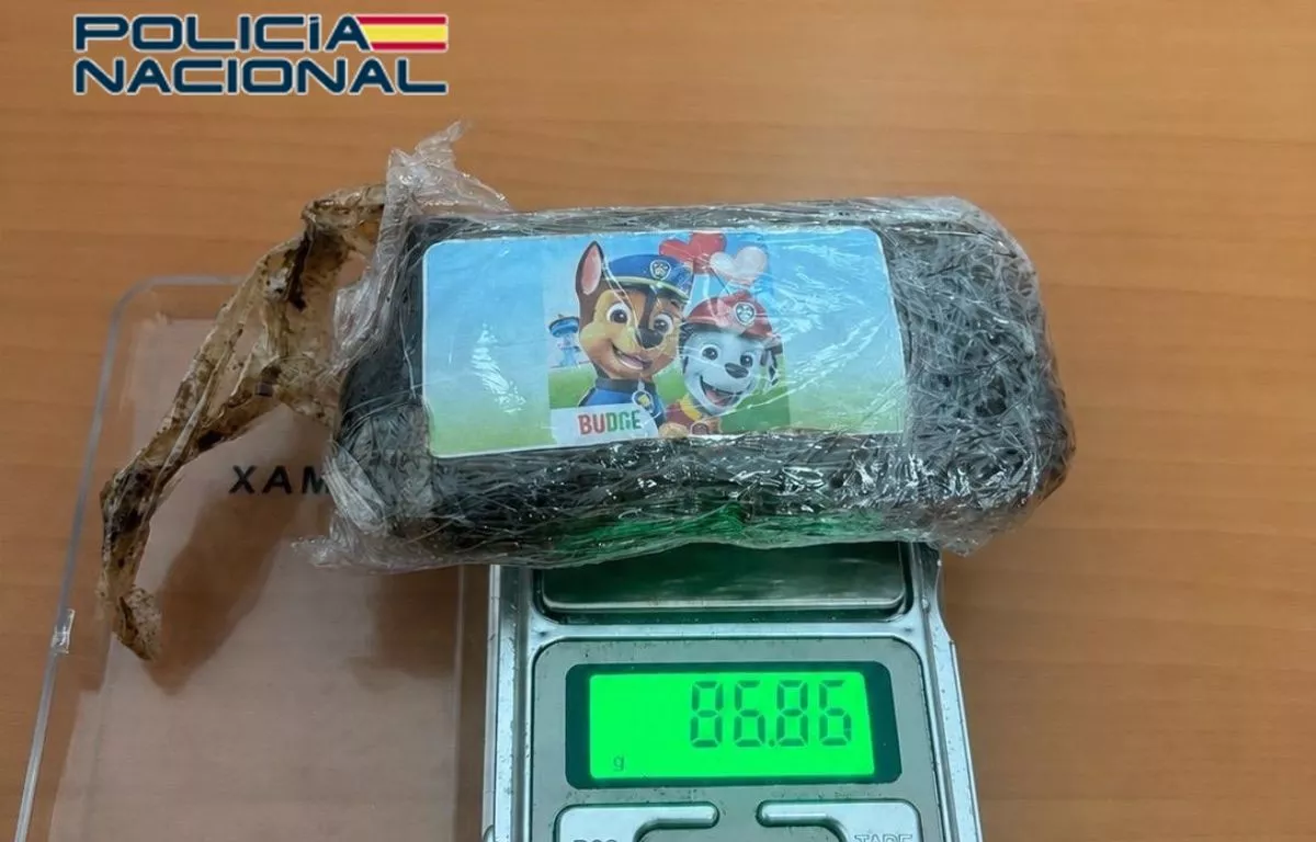Detenido en el Parque Santa Catalina con una placa de hachís decorada con 'La Patrulla Canina'. POLICÍA NACIONAL