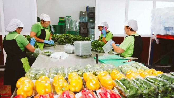 Trabajadoras de Fruhorta