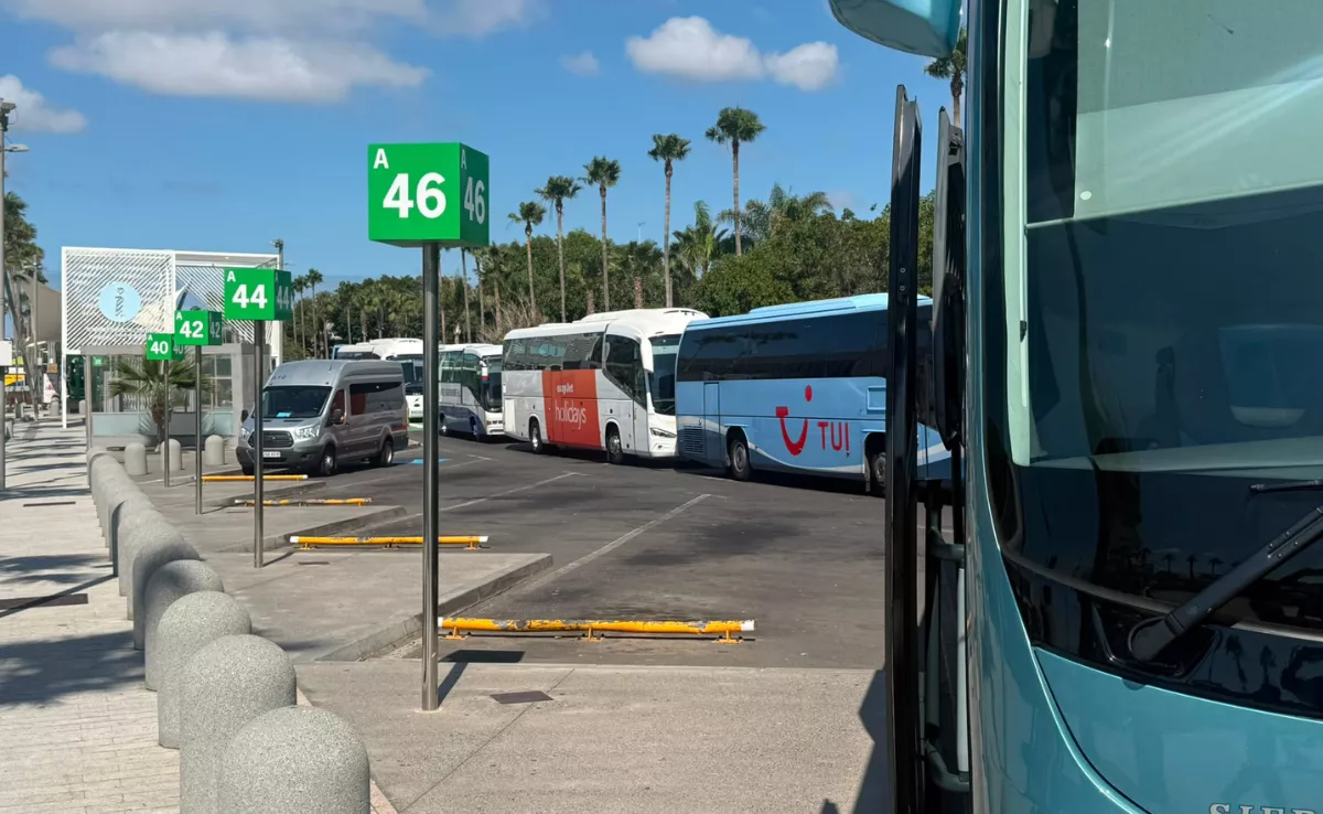 Imagen de guaguas turísticas en Tenerife Sur / FET