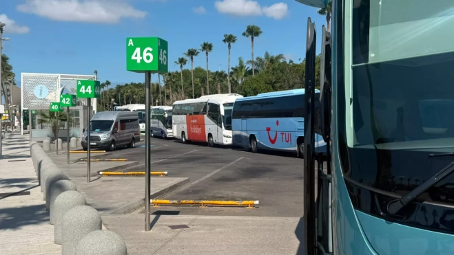 Imagen de guaguas turísticas en Tenerife Sur / FET Imagen de guaguas turísticas en Tenerife Sur / FET