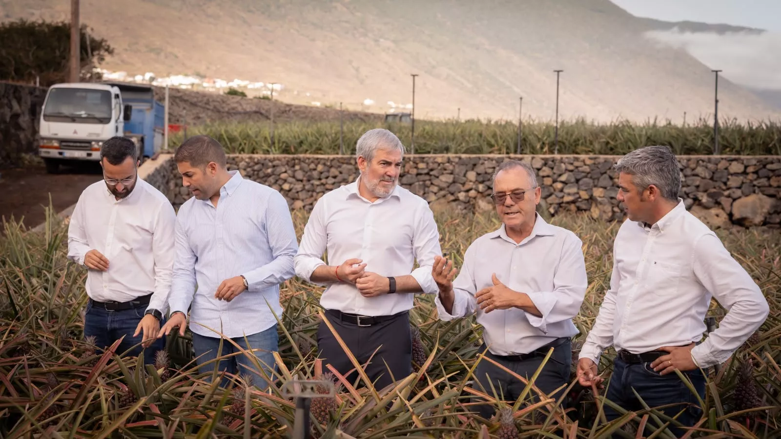 Presentación de la IV Feria de la Piña. GOBCAN
