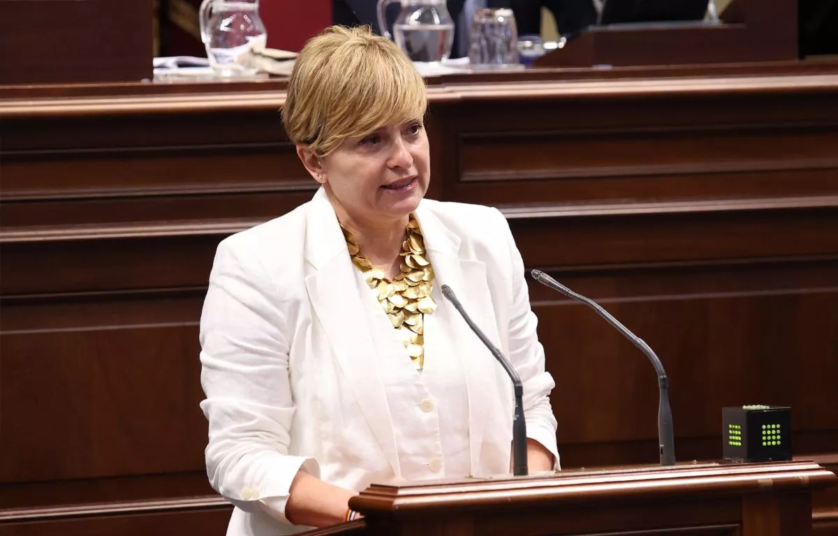 La diputada del PSOE en el Parlamento de Canarias, Nayra Alemán. PSOE
