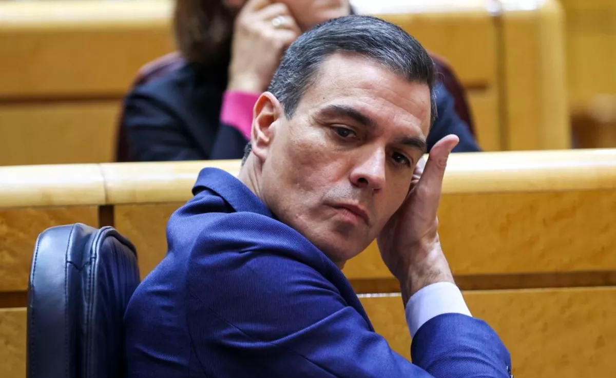 Pedro Sánchez en el Senado / EFE
