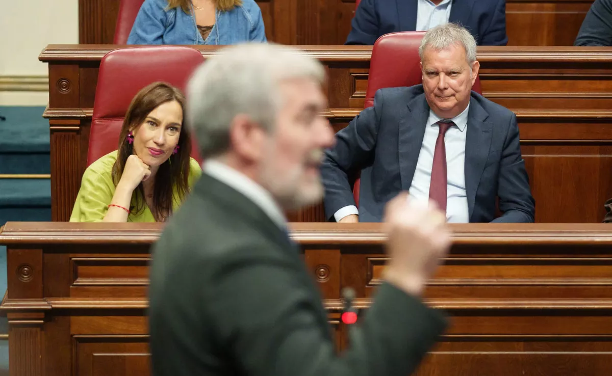 El Parlamento de Canarias debatirá sobre la tasa turística de Mogán y la sobrecarga laboral de los médicos