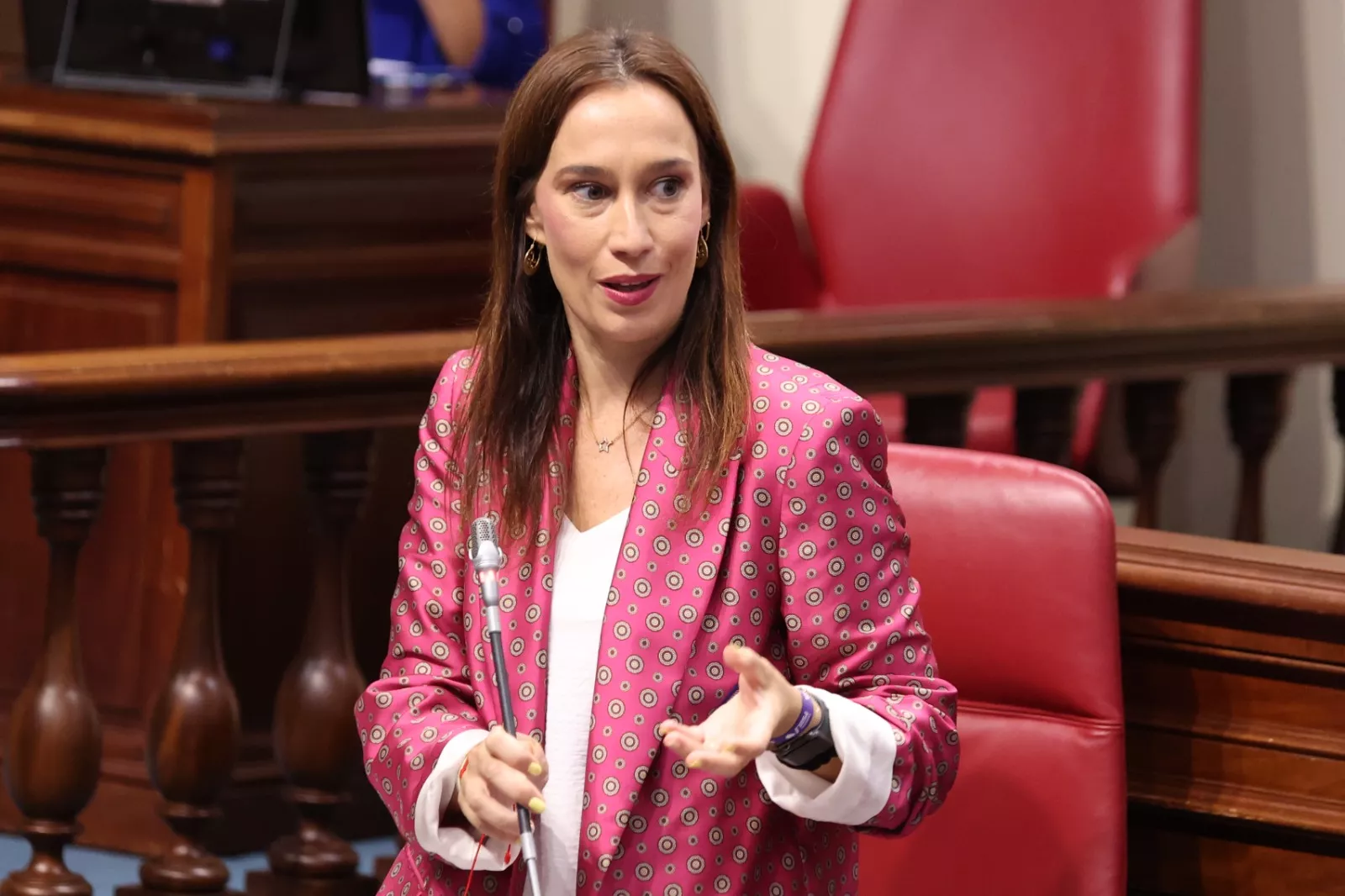 La presidenta del Grupo Parlamentario Socialista, Nira Fierro. / CEDIDA