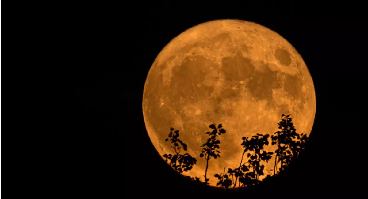 Imagen de la luna llena como la que se podrá ver en julio desde Canarias / EFE