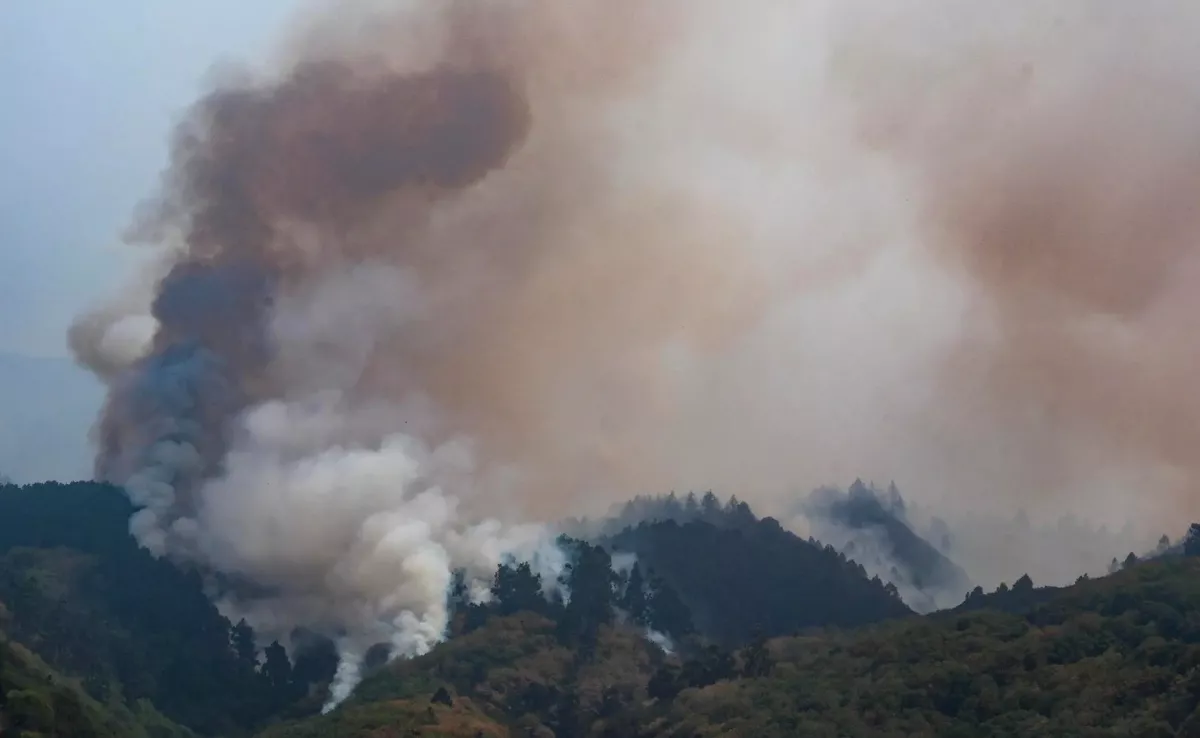 Imagen del incendio forestal de Tenerife en 2023./ EFE