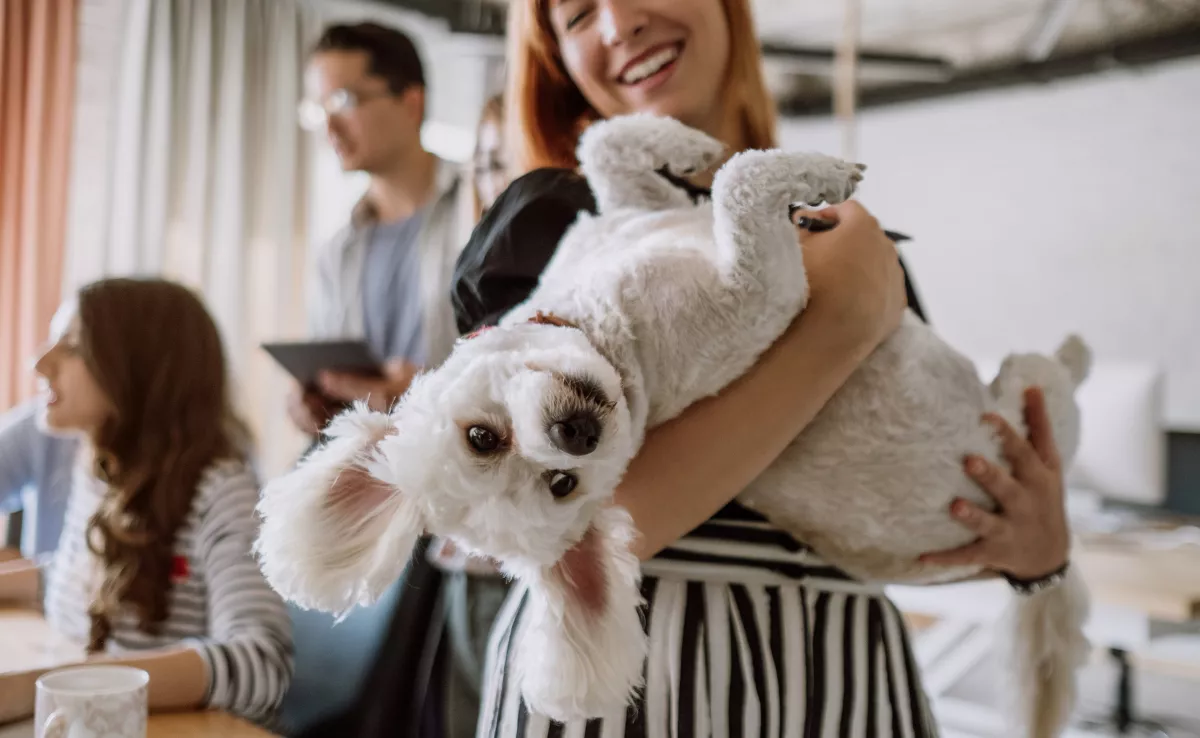 Imagen de una chica con su mascota / CANVA