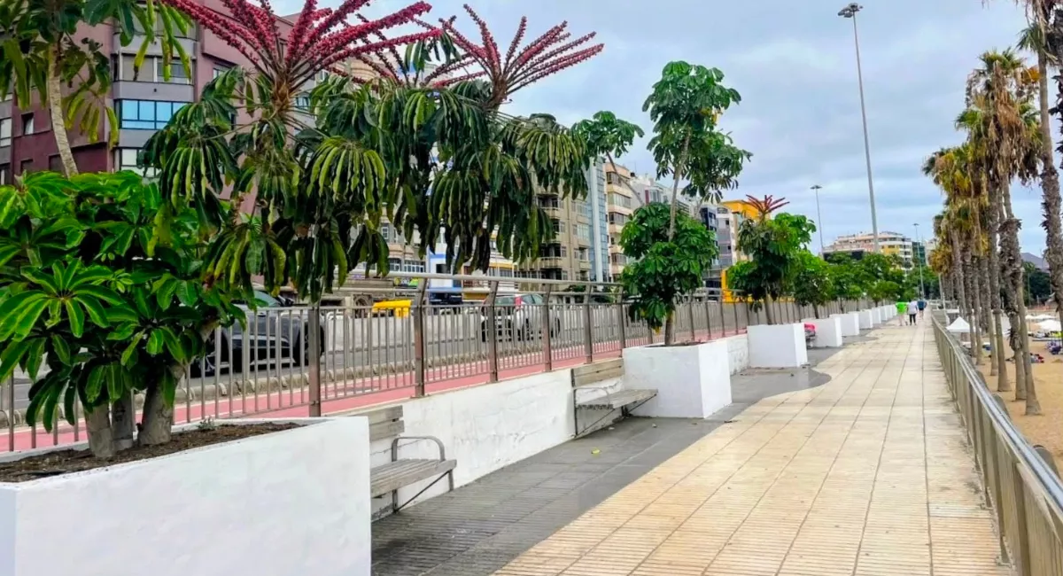 Nuevos mini jardines en el paseo de Las Alcaravaneras / AYUNTAMIENTO DE LAS PALMAS DE GRAN CANARIA