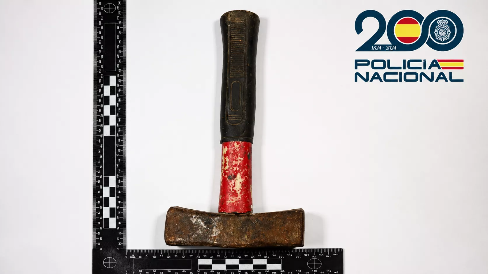 Un hombre amenaza con un martillo a viandantes en Las Palmas de Gran Canaria. POLICÍA NACIONAL