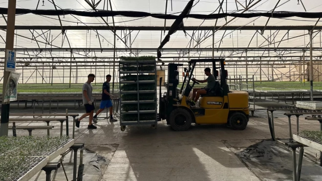 Trabajadores en una plantación de Coagrisan / ATLÁNTICO HOY - MARCOS MORENO