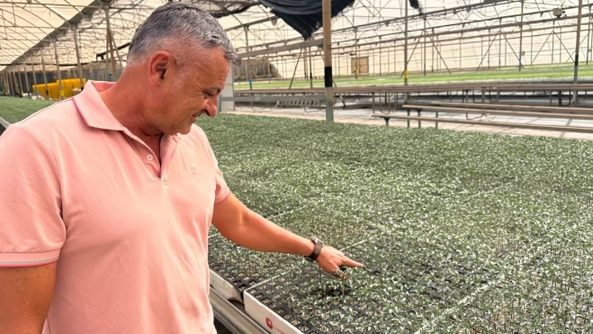 Roberto Suárez en la plantación de La Aldea / ATLÁNTICO HOY - MARCOS MORENO