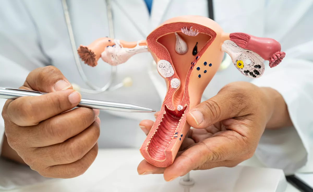 Un sanitario con una representación del aparato reproductor femenino. / IMAGEN DE LA RED