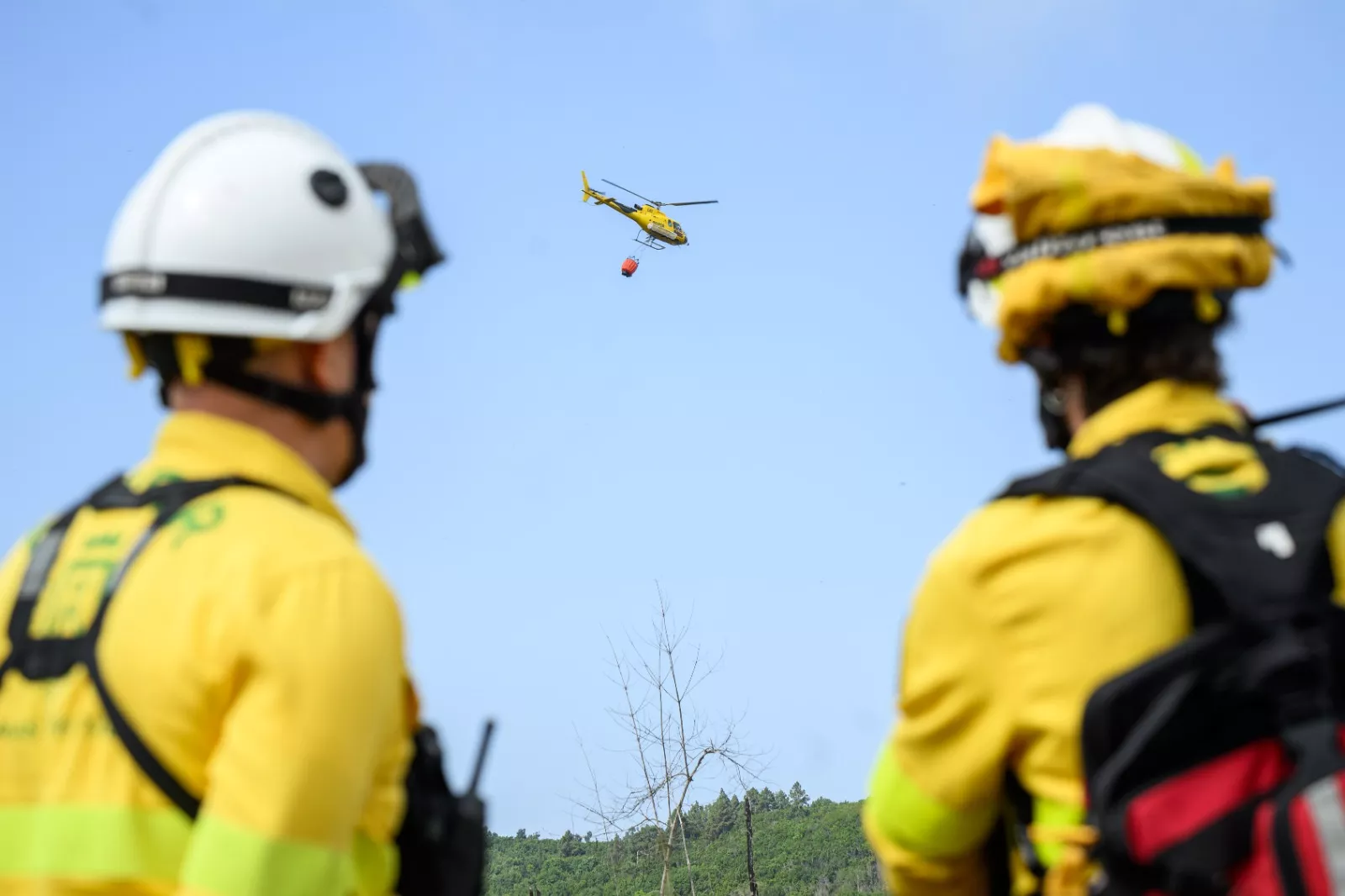 Efectivos contra incendios del Cabildo de Tenerife. / CABILDO DE TENERIFE