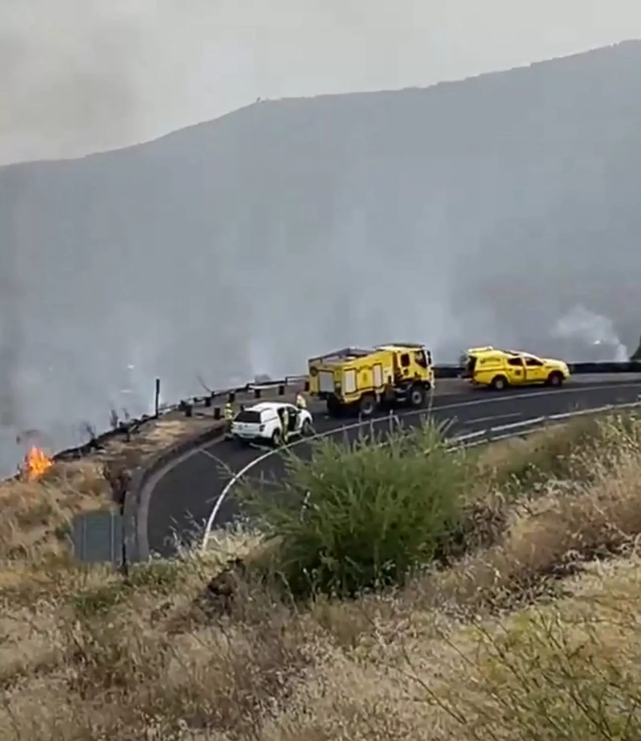 Extinguido un conato de incendio forestal en Arafo tras afectar 150 metros cuadrados. REDES