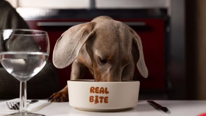 Un perro comiendo una de las recetas de RealBite./ Imagen cedida por la empresa Un perro comiendo una de las recetas de RealBite./ Imagen cedida por la empresa