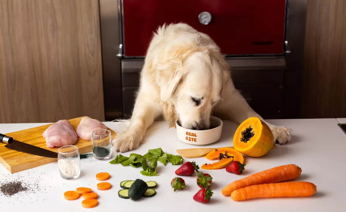 Un perro junto a los ingredientes orgánicos que componen las recetas de RealBite./ Imagen cedida por la empresa