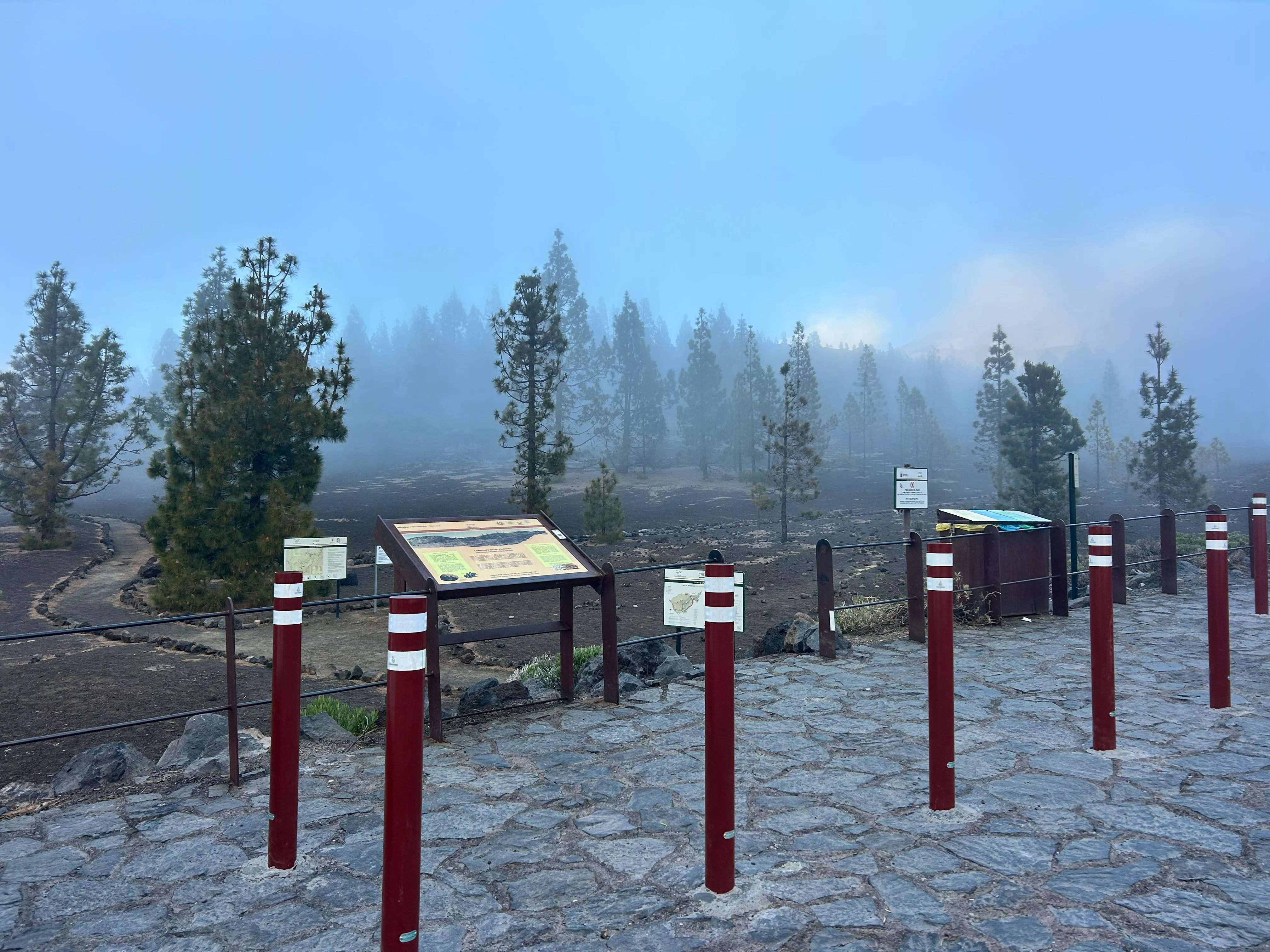 Parque Nacional del Teide. / GOBIERNO DE CANARIAS