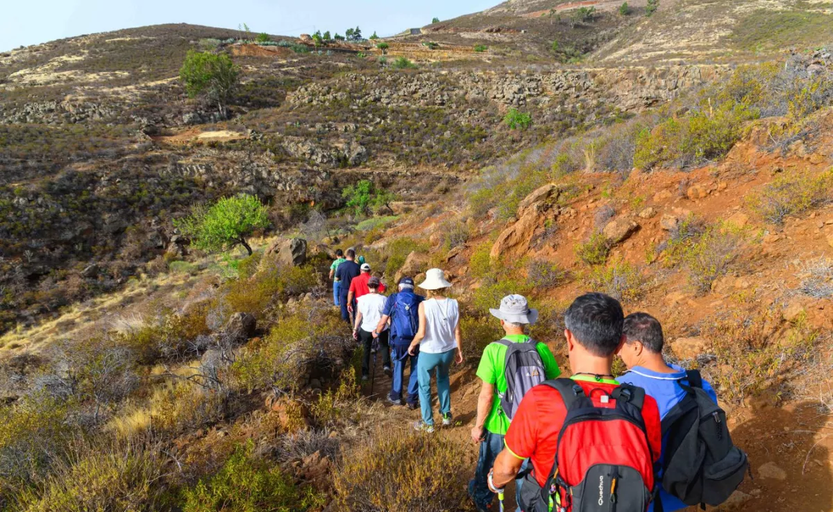 Imagen del Camino Viejo a Candelaria, una de las vías permitidas para peregrinar tras las prohibiciones en senderos y pistas. / CABILDO DE TENERIFE