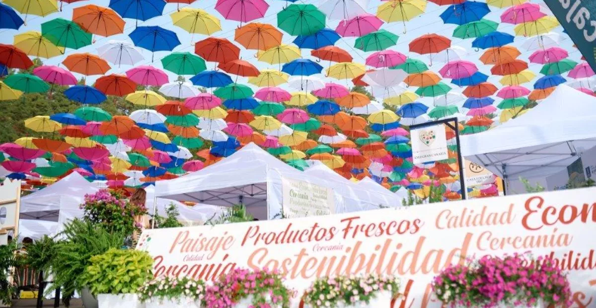 Imagen de la Feria de KM.0 de Fontanales / CABILDO DE GRAN CANARIA