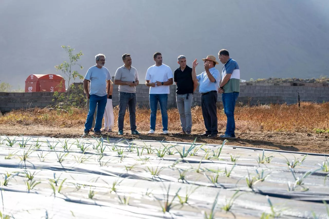Representantes políticos en un cultivo en El Hierro. / CEDIDA