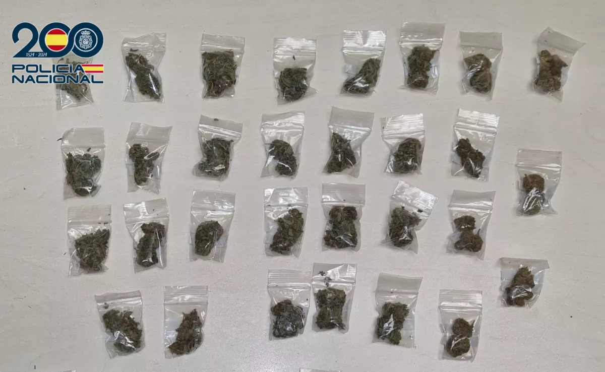 Droga incautada en la zona de Las Verónicas, en el sur de Tenerife. / POLICÍA NACIONAL