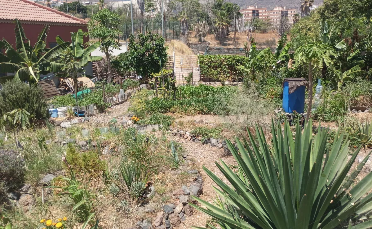 Imagen del huerto urbano SomosTierra./ Cedida por Fernando Jiménez