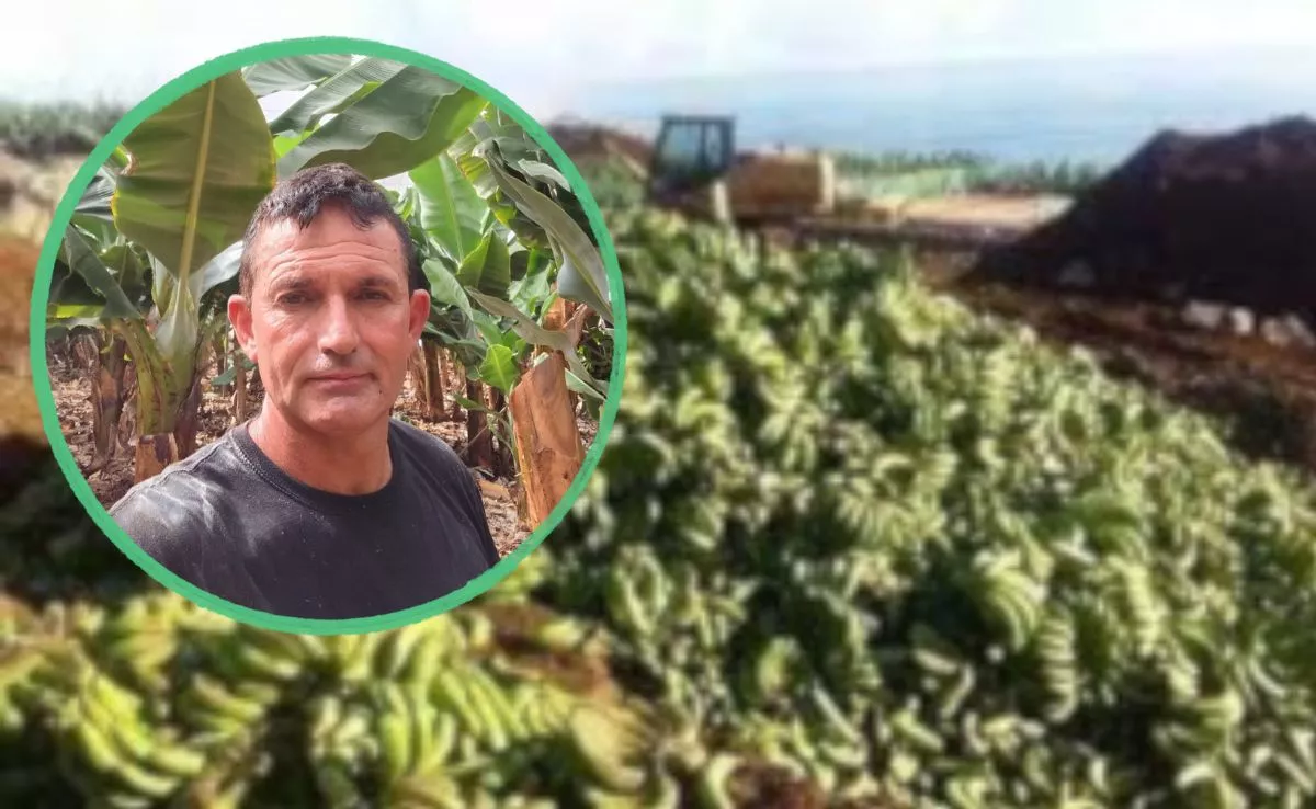 Juan Carlos Rodríguez, agricultor y pequeño productor de plátanos |MONTAJEAH