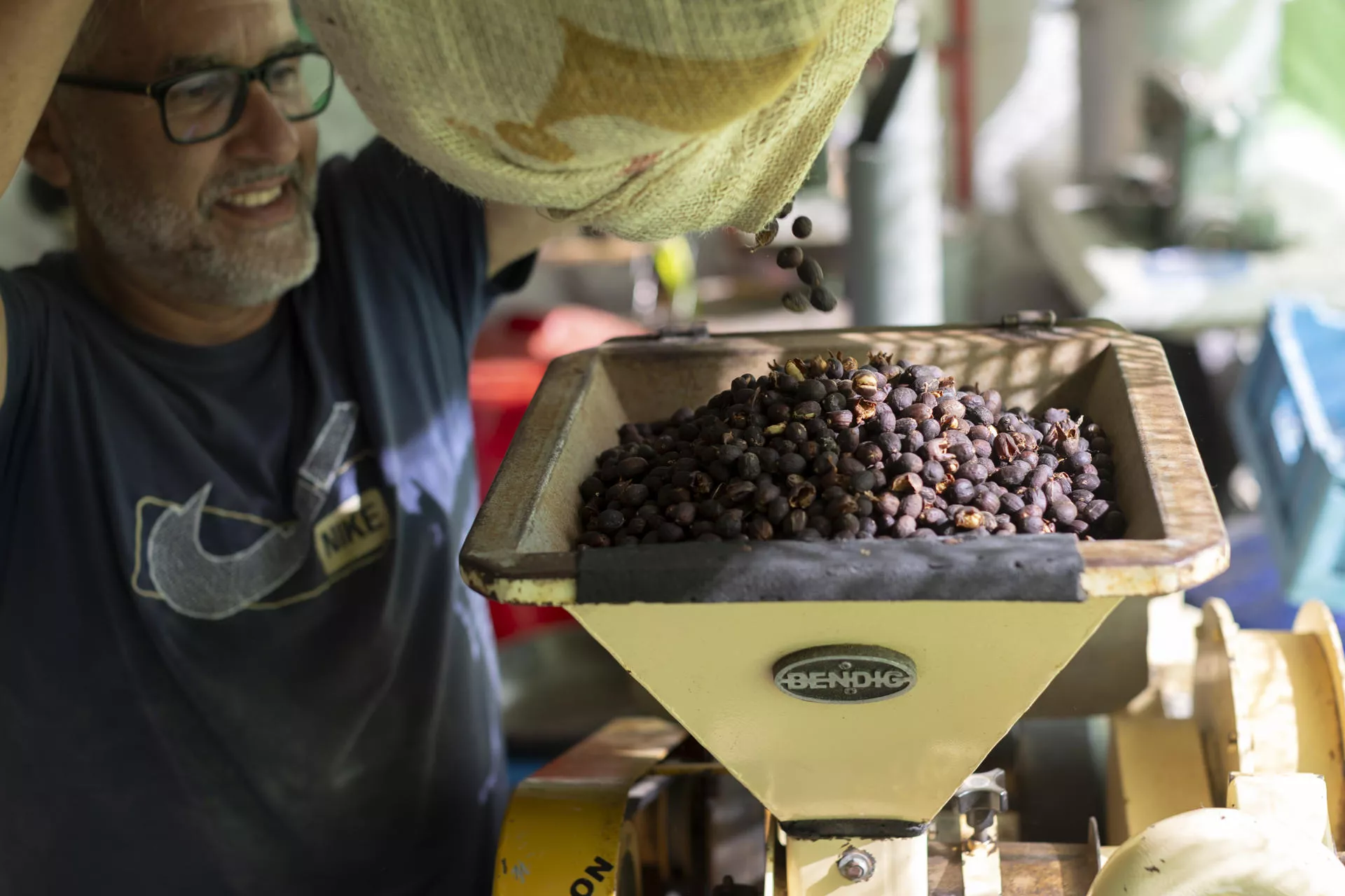 Cultivo de café en la finca La Morreta. EFE Quique Curbelo