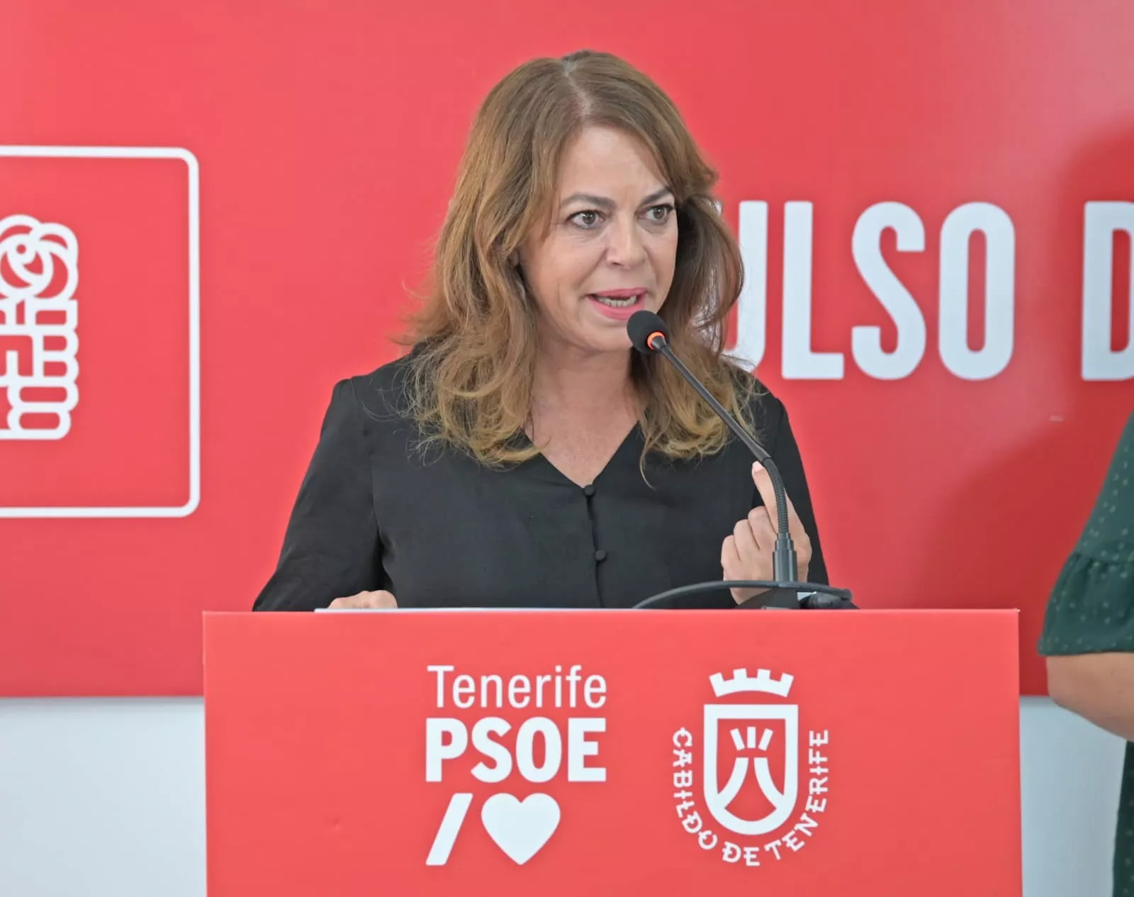 La secretaria general de los socialistas tinerfeños, Tamara Raya. / CEDIDA