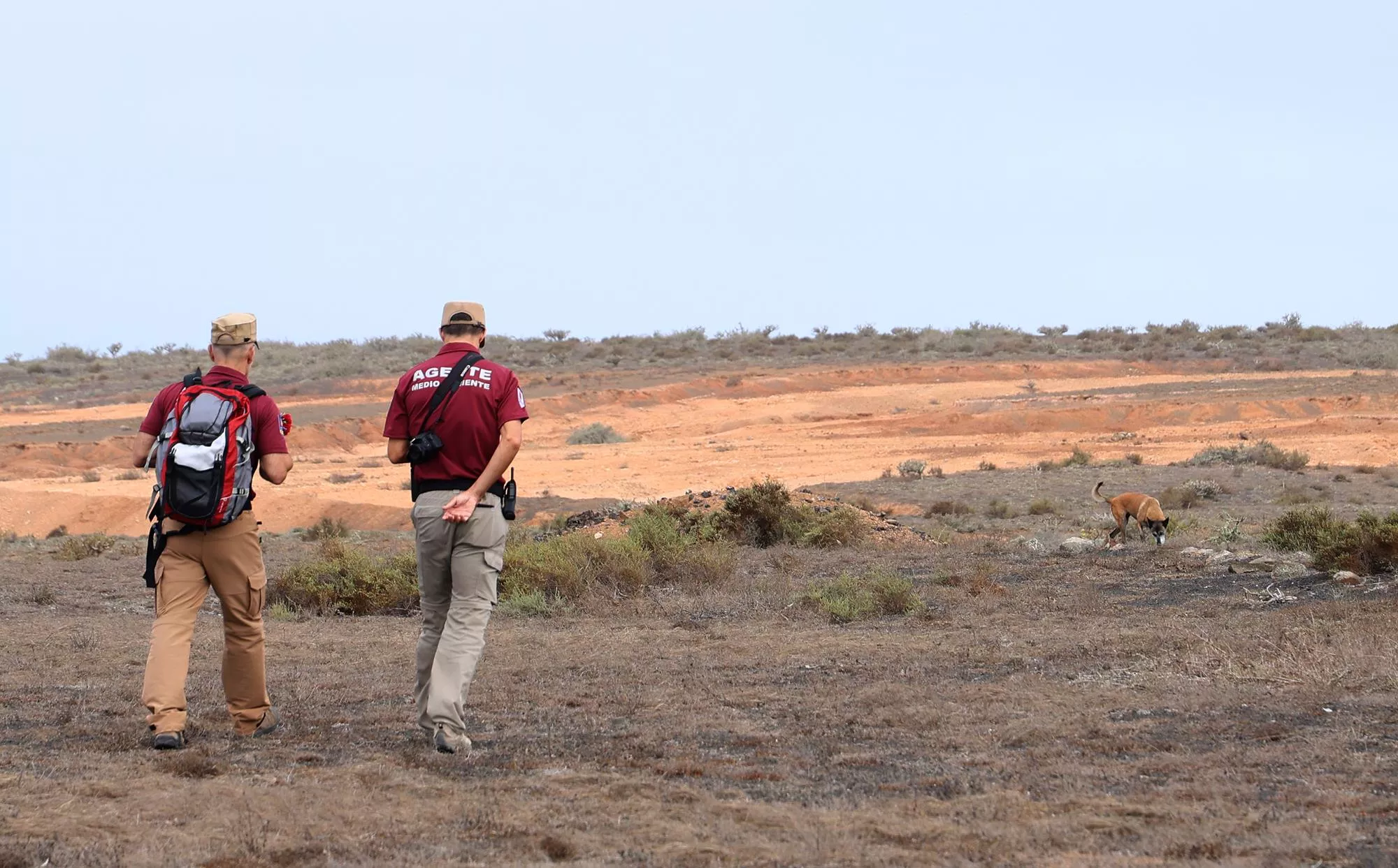Agentes de Medioambiente con la unidad canina de Lanzarote. / CEDIDA