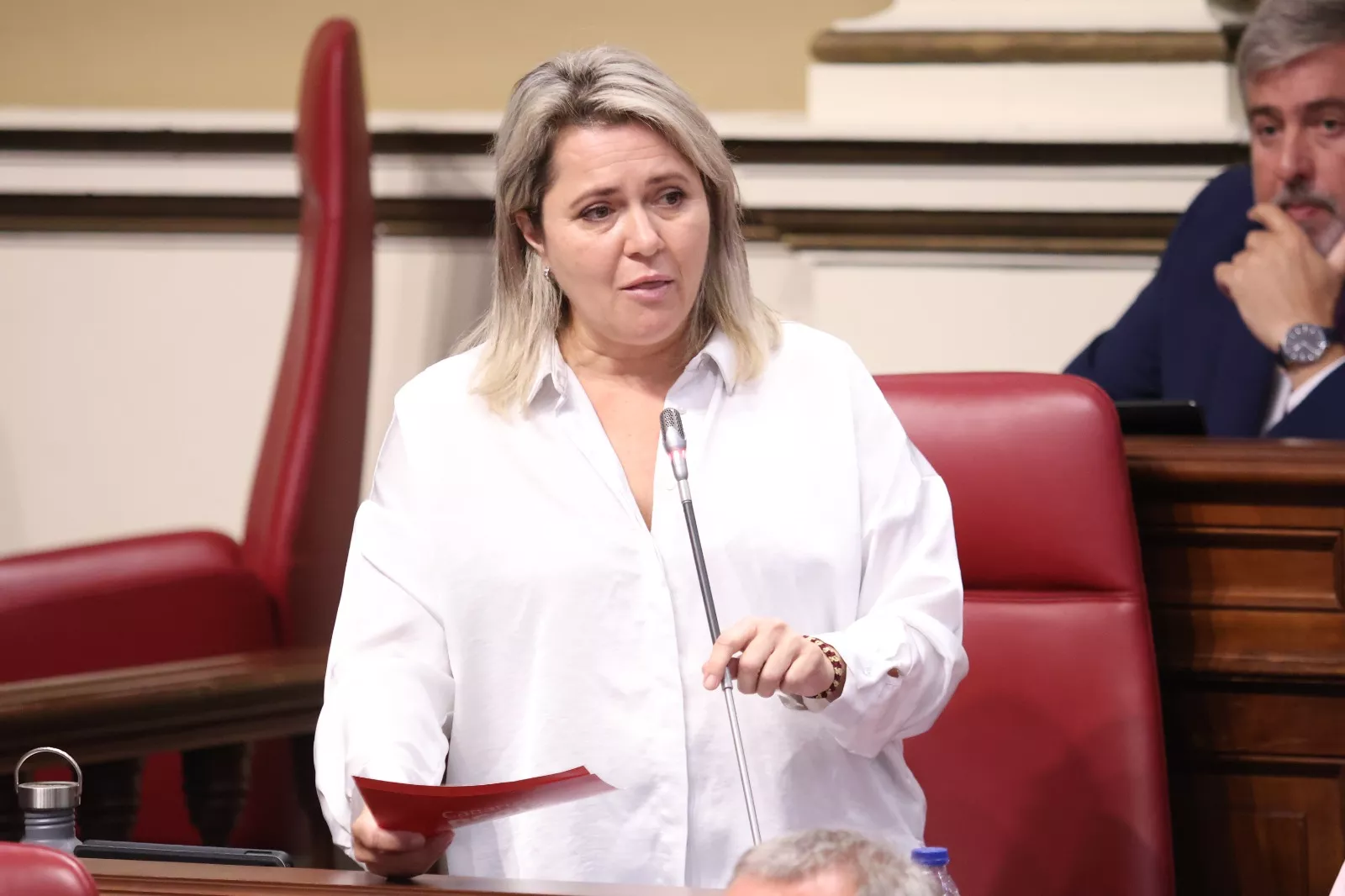La diputada socialista, Alicia Vanoostende. / PSOE LA PALMA