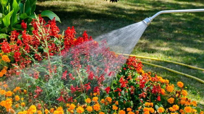 Imagen de una persona regando el jardín / CANVA Imagen de una persona regando el jardín / CANVA
