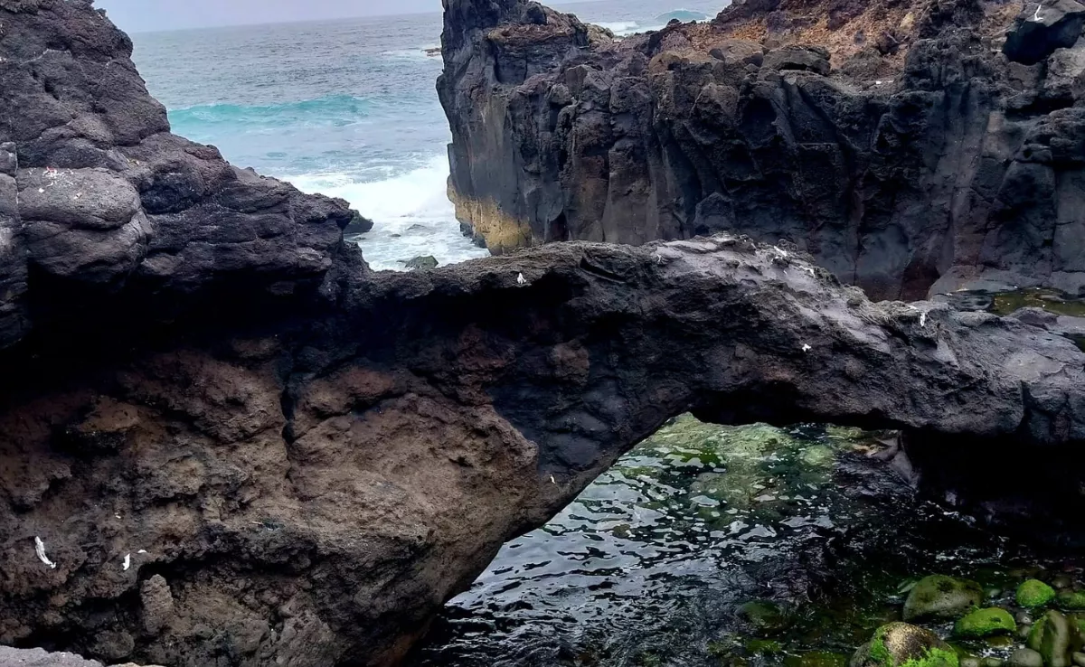 Residuos en Cueva de La Negra (Tejina)./ CIRO MOLINA