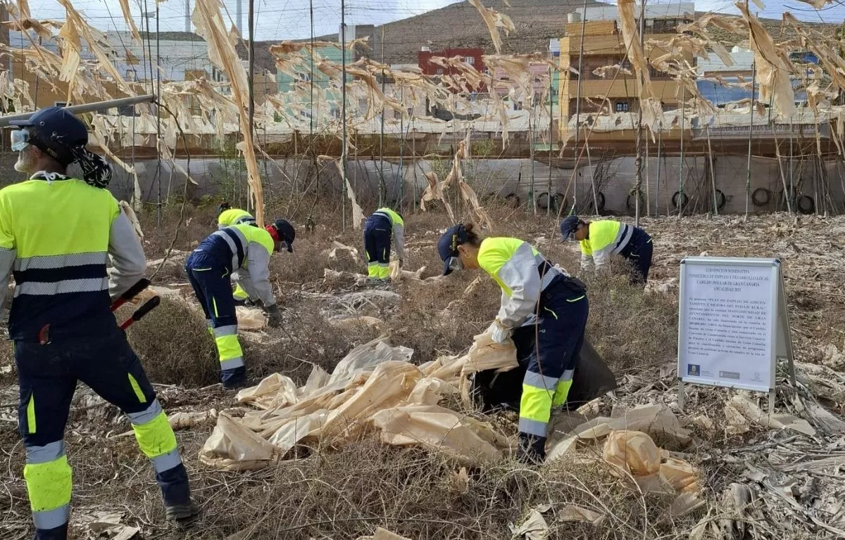 Retiran casi 8 toneladas de basura de invernaderos abandonados en el norte de Gran Canaria. MANCOMUNIDAD DEL NORTE