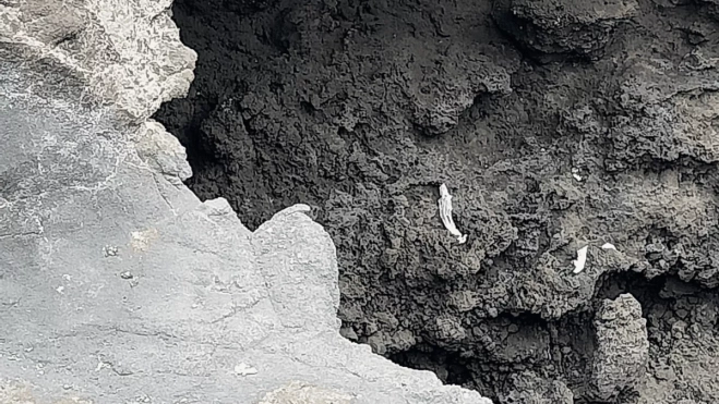 Residuos en Cueva Negra traídos por el oleaje./ CIRO MOLINA Residuos en Cueva Negra traídos por el oleaje./ CIRO MOLINA