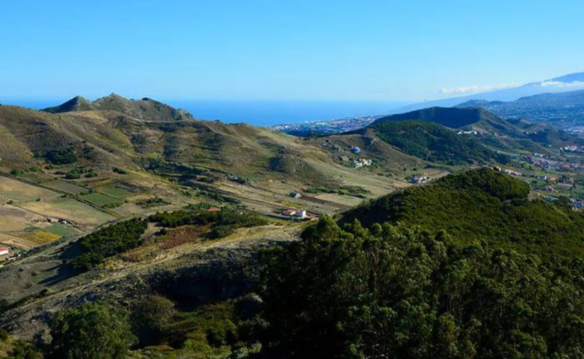 Imagen de archivo del municipio de La Laguna, donde estaba prevista la prueba de Trail. / REDES