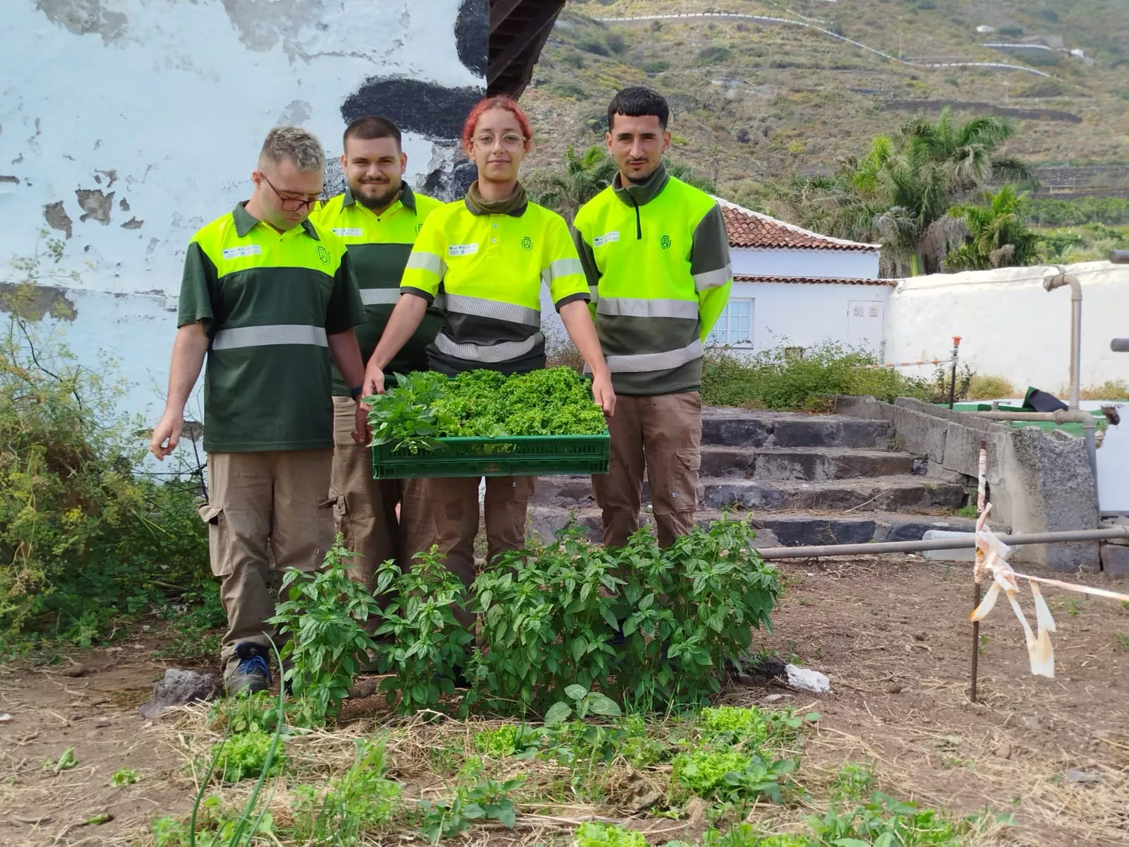 El Cabildo de Tenerife impulsa el empleo juvenil con formación en agricultura sostenible. AH