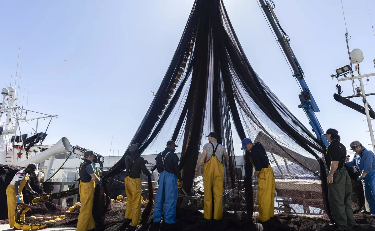 Imagen de pescadores faenando / EFE
