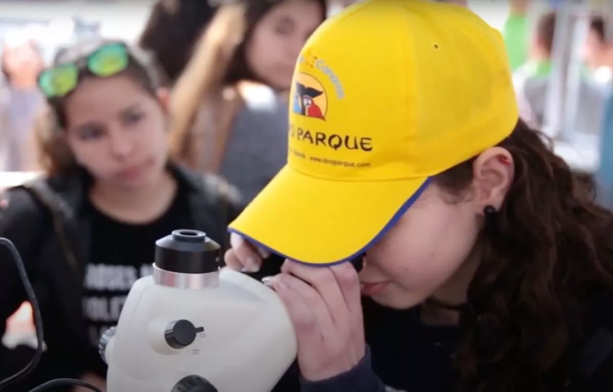 Más de 42.000 escolares consolidan al Grupo Loro Parque como referente de la educación ambiental en Canarias. AH
