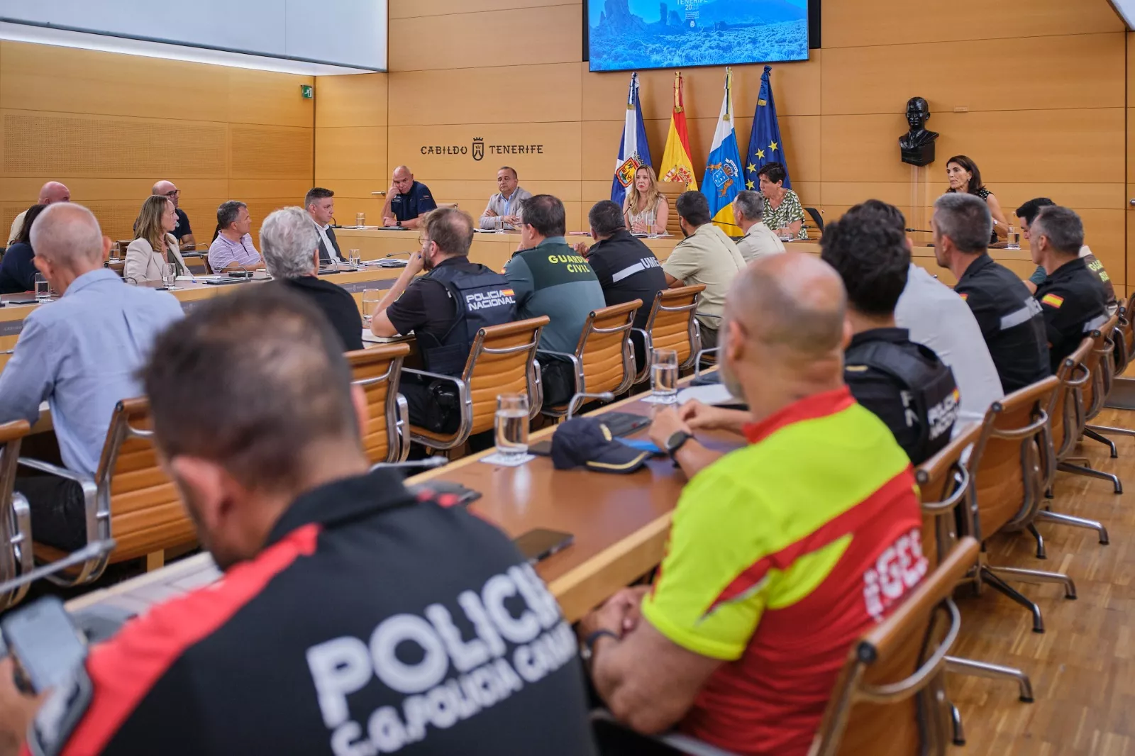 Reunión de preparación de VOLCANEX Tenerife 2026. / CEDIDA