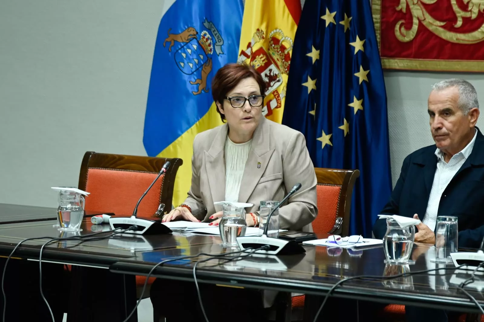 Comisión Parlamentaria Candelaria Delgado