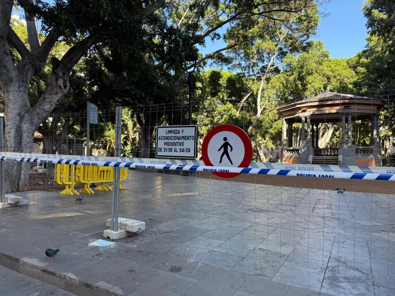 Plaza del Príncipe, en Santa Cruz de Tenerife. / CEDIDA