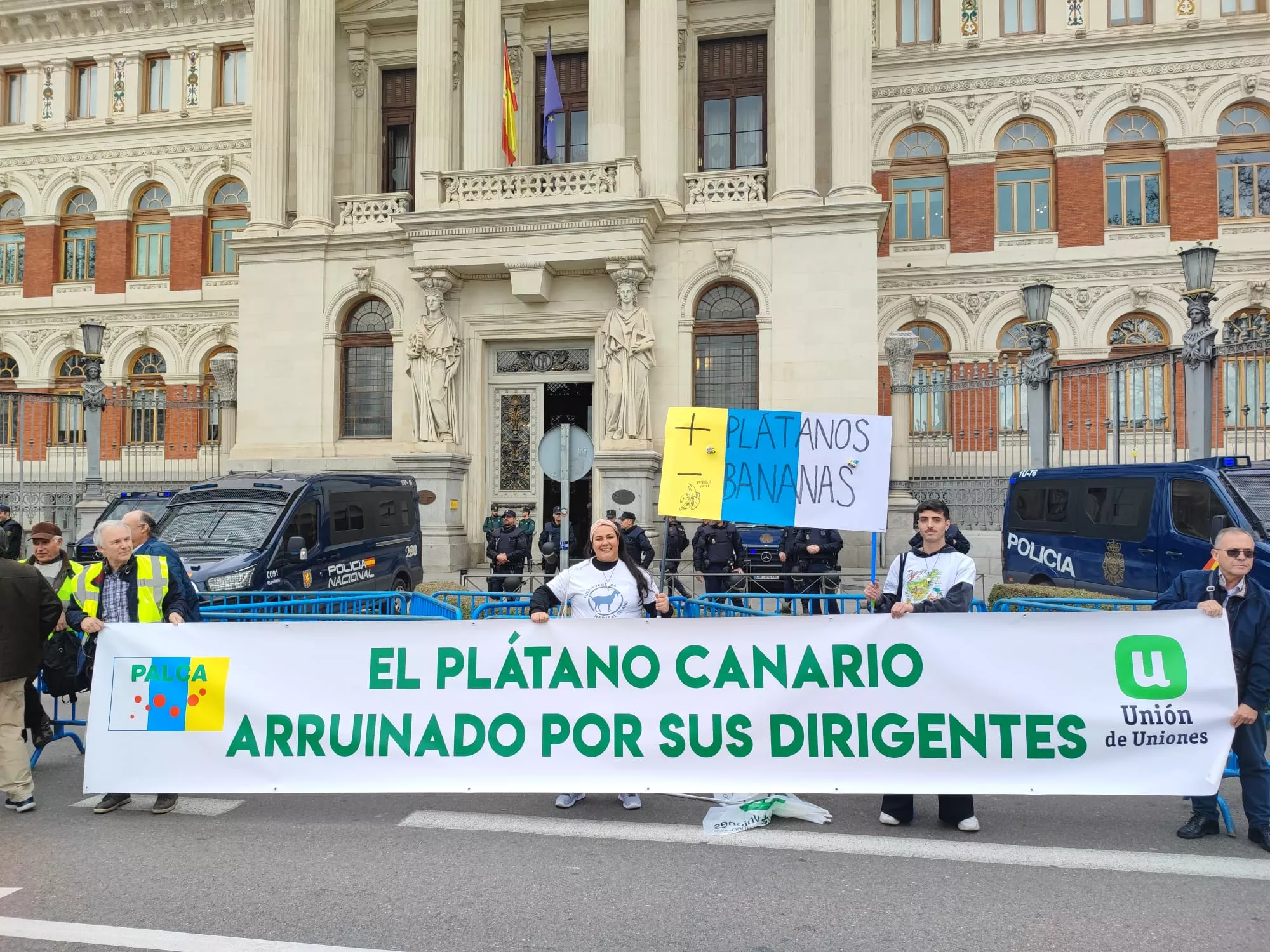 Agricultores canarios, al límite por el precio del plátano: "Las pérdidas son millonarias". AH