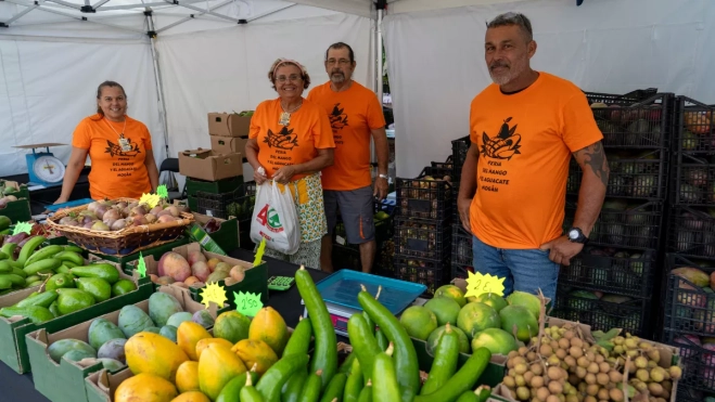 Imagen de uno de los puestos de la feria / AYUNTAMIENTO DE MOGÁN