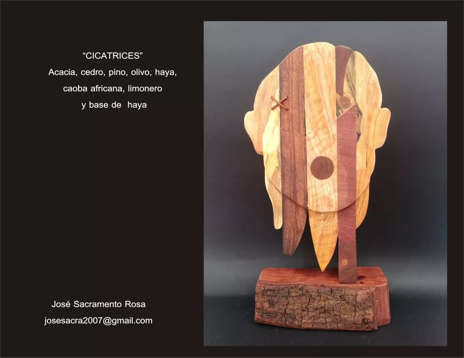 Obra: 'Cicatrices'