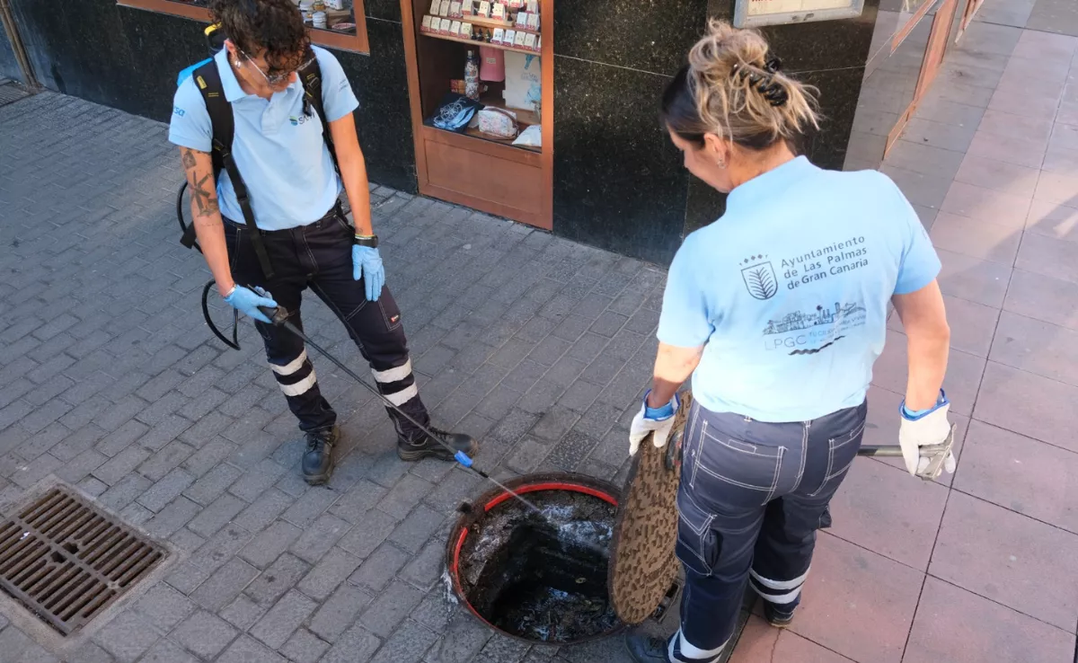  El Ayuntamiento llevó a cabo 329 intervenciones de desinsectación y desratización / AYUNTAMIENTO DE LAS PALMAS DE GRAN CANARIA